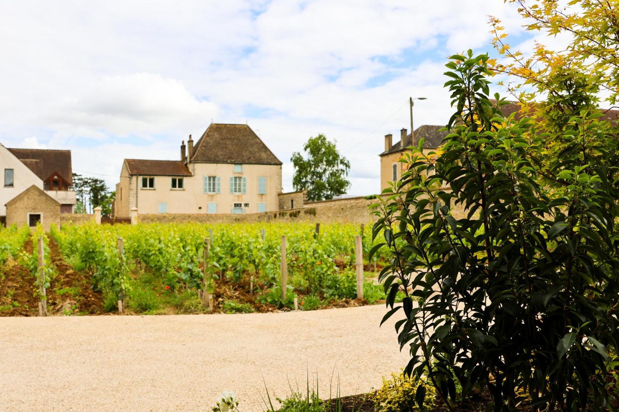 Hotel Particulier Adult Only Les Reveries Du Clos Spa Degustation Et Diner Sur Reservation Pommard Esterno foto